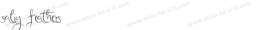 saliy feathers字体转换